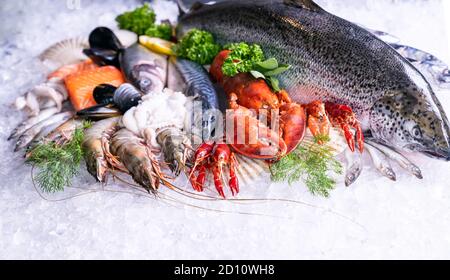 Vista frontale di una varieta' di pesce fresco di lusso, cozze di polpo di gamberi di salmone di aragosta e capesante, su sfondo ghiacciato. Foto Stock