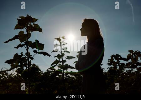 Vista laterale della silhouette di una giovane donna che si trova di fronte macchina fotografica tra girasoli Foto Stock