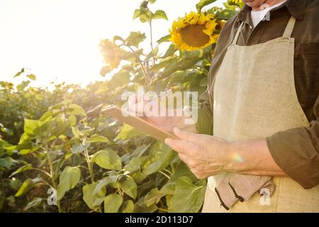 Mani di agricoltore maschile senior in grembiule e camicia fare note nel documento Foto Stock