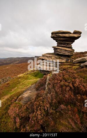 Salt Cellar, una grande formazione di pietra erbosa sul Derwent Edge nel Peak District National Park catturato all'inizio dell'autunno. Foto Stock