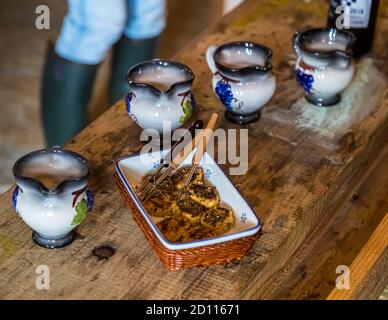 Tour culinario sul Lago di Lugano in Ticino, Circolo di Carona, Svizzera. Come benvenuto, ci sono piccole torte di pesce e una tipica bevanda estiva. Semplice vino bianco mescolato con limonata è servito da piccole caraffe di ceramica Foto Stock
