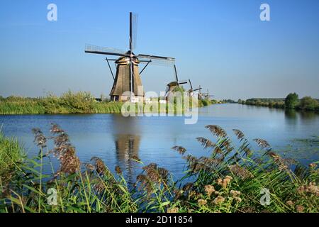 Mulini a vento storici a Kinderdijk, Kinderdijk-Elshout, Olanda, Paesi Bassi Foto Stock