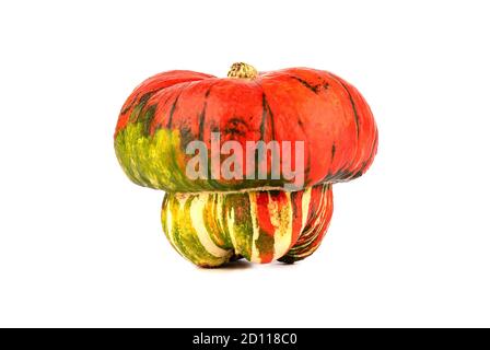 Zucca matura sotto forma di fungo isolato su fondo bianco. Zucca di forma insolita. Foto Stock