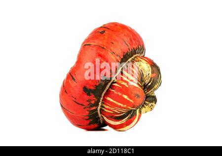 La zucca matura a forma di fungo si trova su un lato su uno sfondo bianco. Zucca di forma insolita. Foto Stock