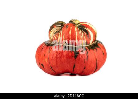 Zucca matura a forma di fungo con cappello su fondo bianco. Zucca di forma insolita. Foto Stock