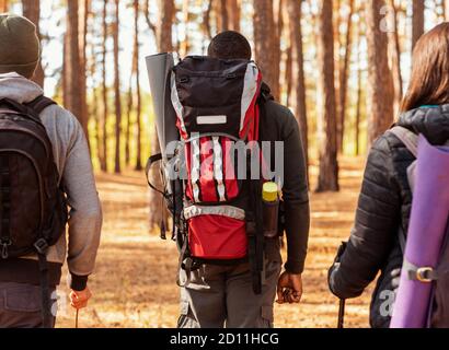 Closeup di tre backpackers a piedi da pineta Foto Stock