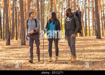 Persone giovani con zaini che camminano in foresta Foto Stock