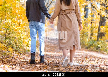 Immagine ritagliata di una coppia romantica che passa il tempo nella foresta dorata Foto Stock