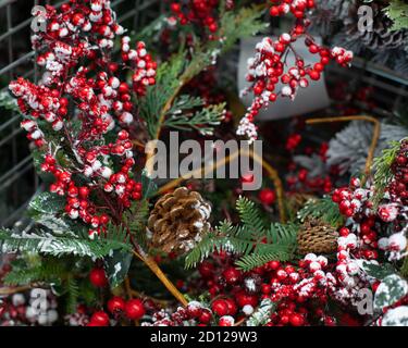 Natale decorazione sfondo per il design. Agrifoglio con bacche in brina. Simboli di Natale neve, cono di pino e bacche di quercia Foto Stock