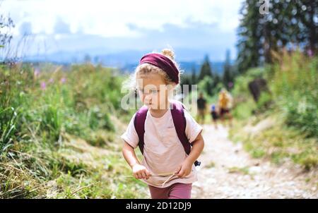 Ritratto di piccola bambina all'aperto nella natura estiva, a piedi. Foto Stock