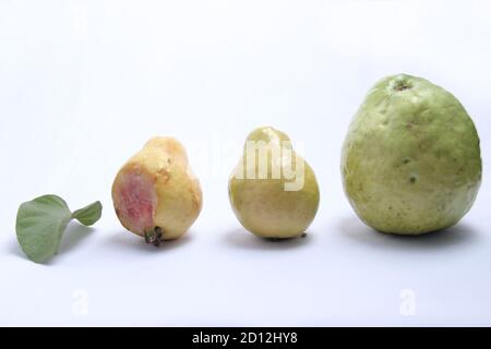 variazioni di frutta e foglie di guava, da piccola a grande guava, guava maturo, crudo e marcio Foto Stock