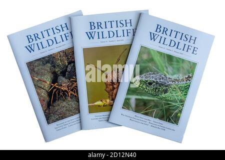 Riviste o riviste di British Wildlife su sfondo bianco, pubblicazione accademica del Regno Unito Foto Stock