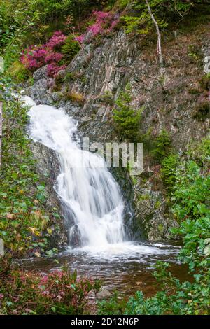 Cascata idilliaca nelle Ardenne belghe. Foto Stock