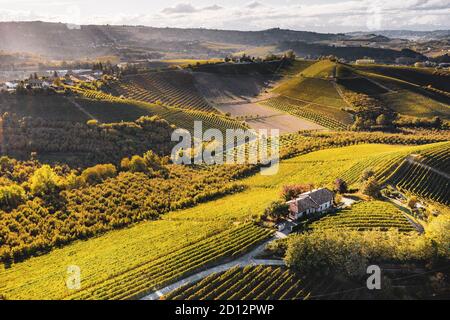 ITALIA, PIEMONTE, LANGHE: Autunno sera luce solare sui vigneti delle Langhe, Piemonte, Italia Foto Stock