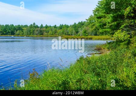 Vista del lago di serpente, in Kejimkujik National Park, Nova Scotia, Canada Foto Stock