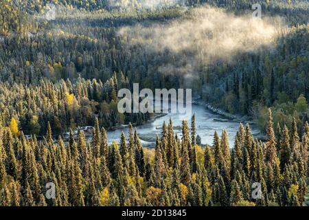 Bellissimo paesaggio mattutino della foresta d'autunno Foto Stock