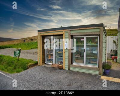 I frigoriferi per torte a bordo strada vicino a Aith sulla terraferma, Shetland, Scozia Regno Unito - le persone che passano possono acquistare prodotti e lasciare i loro soldi in una scatola onesta Foto Stock