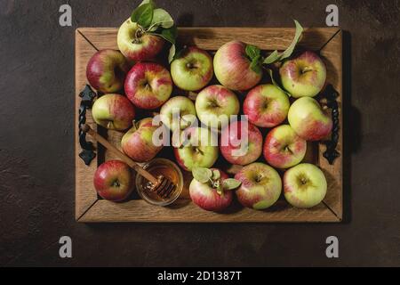 Mature Giardinaggio organico verde rosso di mele con foglie e di un vasetto di miele sul vassoio in legno scuro su sfondo di texture. Appartamento laico, spazio. Raccolto autunnale. Foto Stock