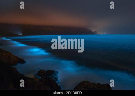 Il fitoplancton bioluminescente illuminare l'oceano lungo la costa a Kogelberg Riserva della Biosfera vicino a Cape Town, Sud Africa. Foto Stock