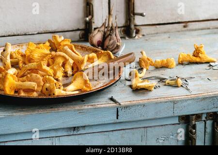 Materie non cotti i finferli foresta di funghi in padella su blu bianco cucina in legno tavolo. In stile rustico, giorno luce, spazio di copia Foto Stock