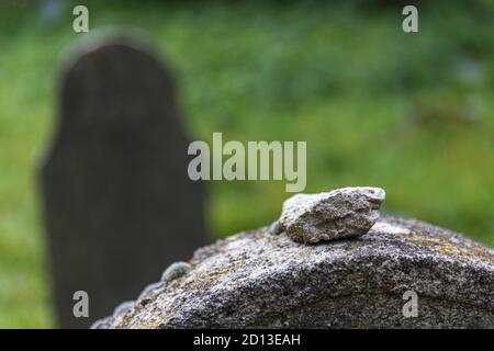 Antico cimitero ebraico abbandonato vicino al villaggio di Trstin, Slovacchia Foto Stock