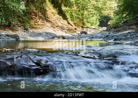 cascata di piccole cascate e piscine su un ruscello di montagna in una gola boscosa Foto Stock