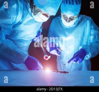 Due medici eseguono la chirurgia laser per trattare vene varicose ed emorroidi. Chirurgia laser concettuale, displasia Foto Stock