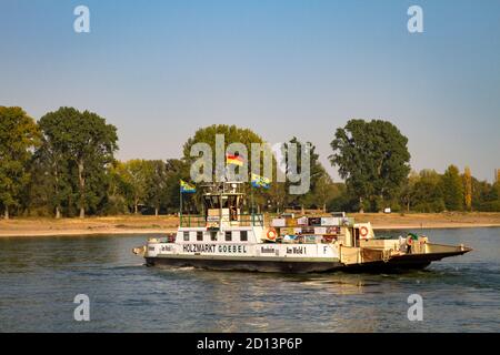 Traghetto per auto sul fiume Reno tra Colonia-Langel e Leverkusen-Hitdorf, Nord Reno-Westfalia, Germania. Autofaehre auf dem Rhein zwischen Koeln- Foto Stock