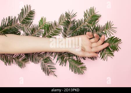 Primo piano bella mano femminile posa sul ramo albero di Natale sullo sfondo rosa, con spazio di copia. Concetto di pubblicità di bellezza salone prima Foto Stock