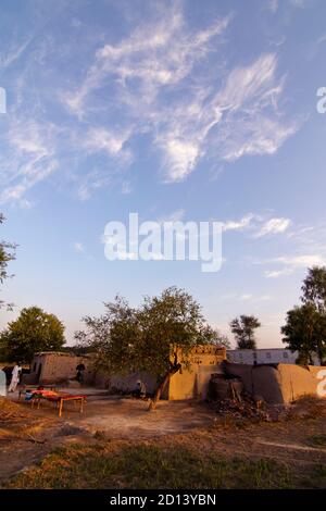 Paesaggi di Punjab rurale, Pakistan Foto Stock