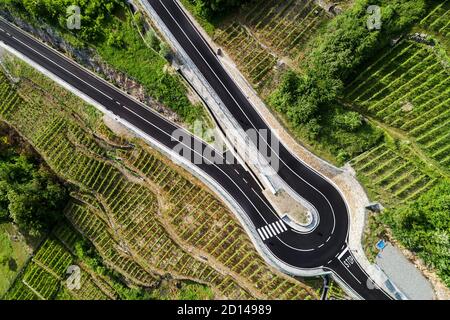 strada con tornante in campagna con vigneti Foto Stock