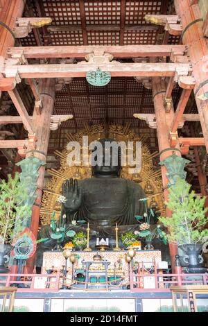 Il Grande Buddha (Daibutsu) nella grande sala, Tōdai-ji, tempio buddista, Nara, Giappone Foto Stock