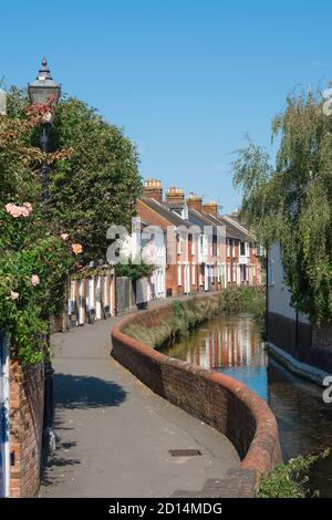 Wiltshire proprietà, vista in estate di pittoresche case a schiera in Water Lane nel centro di Salisbury, Inghilterra, Regno Unito Foto Stock