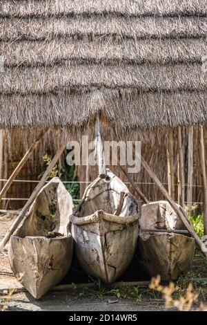 Piroghe tradizionali di pesca in legno immagazzinate sulla terra sotto il villaggio capanna con tetto di paglia Foto Stock