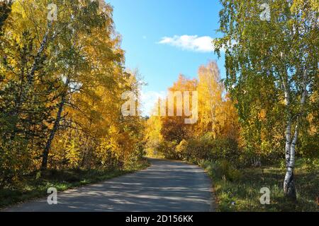 Estate indiana - un percorso asfaltato in un parco cittadino tra alberi con foglie gialle e arancioni. Sfondo autunno. Foto Stock