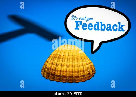 Seashell con l'ombra di un martello e un discorso Bubble con le parole vogliamo il tuo feedback Foto Stock