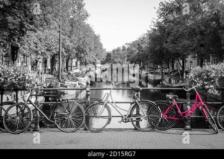 Una foto di una bici rosa sul ponte sul canale di Amsterdam. Lo sfondo è bianco e nero. Foto Stock