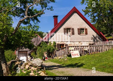 Francia, Alto Reno, Sewen, catena montuosa del Ballon d'Alsace, grand Langenberg agriturismo inn Foto Stock