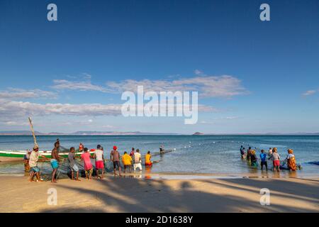 Madagascar, Nord, provincia di Diego-Suarez (Antsiranana), regione di Diana, Ramena, pesca alla rete sulla spiaggia Foto Stock