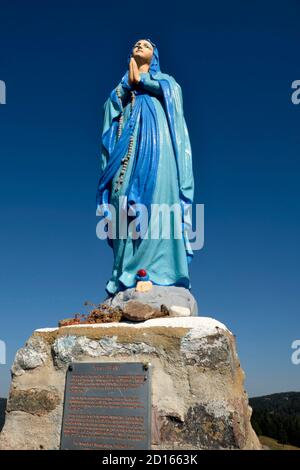 Francia, Alto Reno, Sewen, massiccio del Ballon d Alsace, prato di Wissgrut (1124 m), la Vergine eretta nel 1946 da Xavier Berna, agricoltore a Wissgrut, sul suo Foto Stock