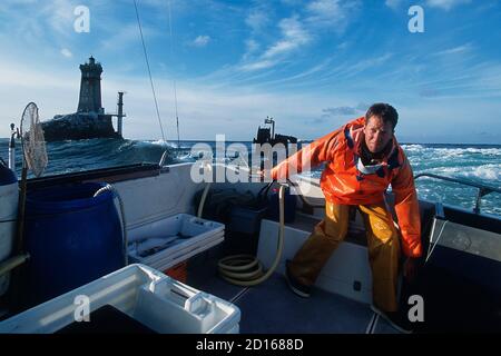 Francia, Finistère, Audierne, Ronan Thomas, pescatore di spigole nella raz de Sein (ligneur). A bordo della sua barca Glazik di fronte al faro di la VI Foto Stock