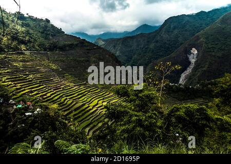 Immagini di terrazze di riso Batad e Banaue nelle Filippine Foto Stock