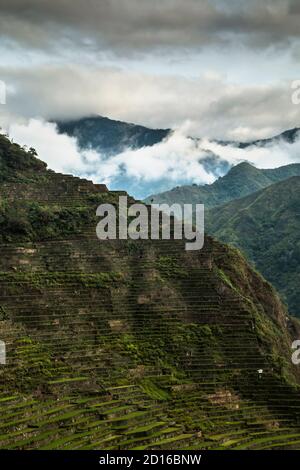 Immagini di terrazze di riso Batad e Banaue nelle Filippine Foto Stock