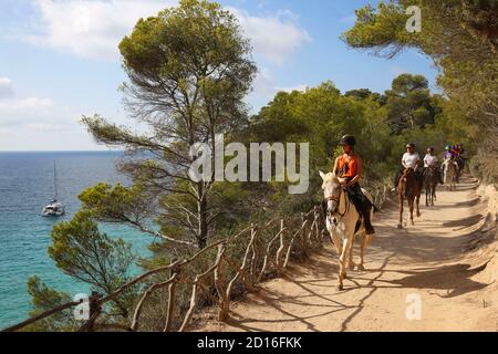 Spagna, Isole Baleari, Minorca, cami de Cavalls, gruppo di giostre su un percorso costiero circondato da pini e affacciato sul mare Foto Stock