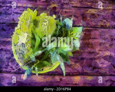 Le verdure nella piastra sulle illustrazioni di tavola di legno scuro creano impressionis di stile formica della pittura. Foto Stock