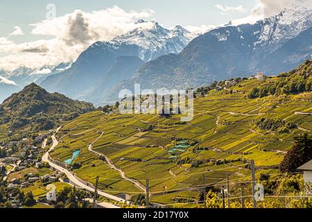 Azienda vinicola Bonvin a Sion, Svizzera Foto Stock