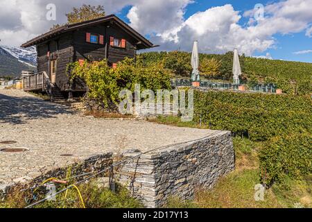 Azienda vinicola Bonvin a Sion, Svizzera Foto Stock