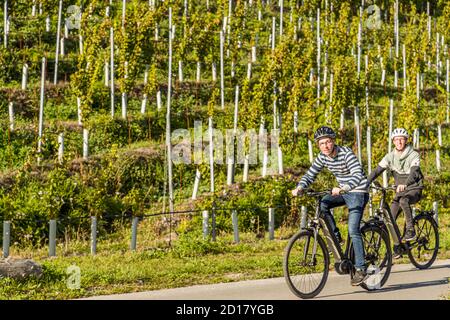 Azienda vinicola Bonvin a Sion, Svizzera. Con le e-bike attraverso i vigneti. Les Cellliers de Sion offre picnic e degustazioni Foto Stock