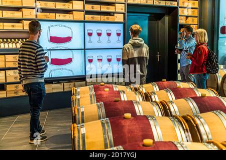 Azienda vinicola Bonvin a Sion, Svizzera. Un tour attraverso i vigneti può anche essere completato con una parte di enologia nell'enopark di Les Celliers de Sion Foto Stock