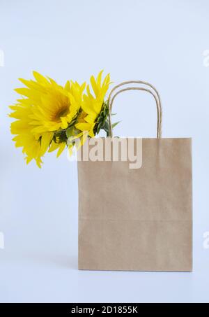 Bella girasole fresco e borsa di carta regalo su sfondo bianco. Spazio di copia. Concetto di autunno o estate, tempo di raccolto, agricoltura. Girasole naturale b Foto Stock